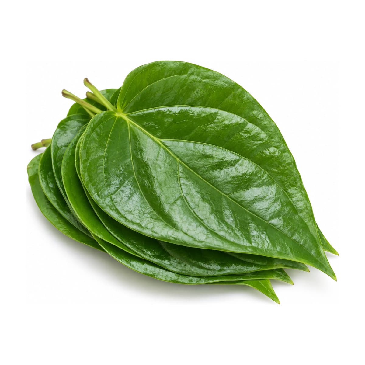 Betel leaves