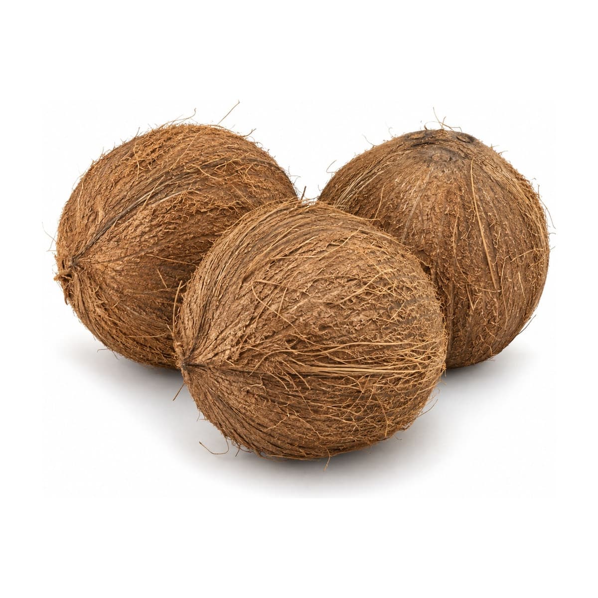 Coconuts