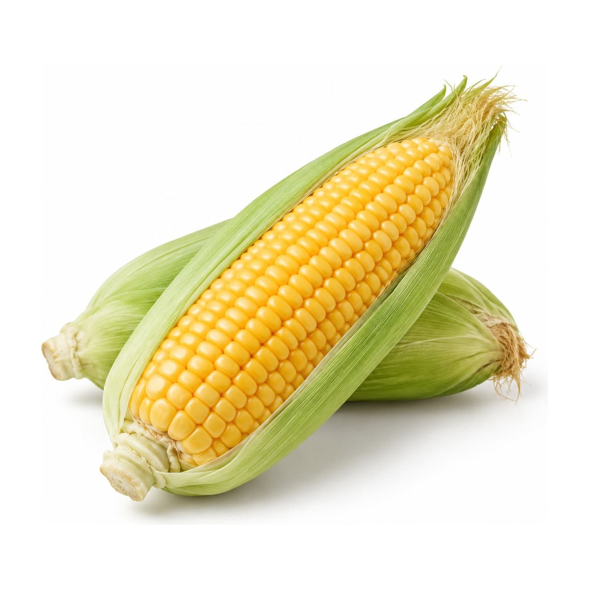 Corn cob