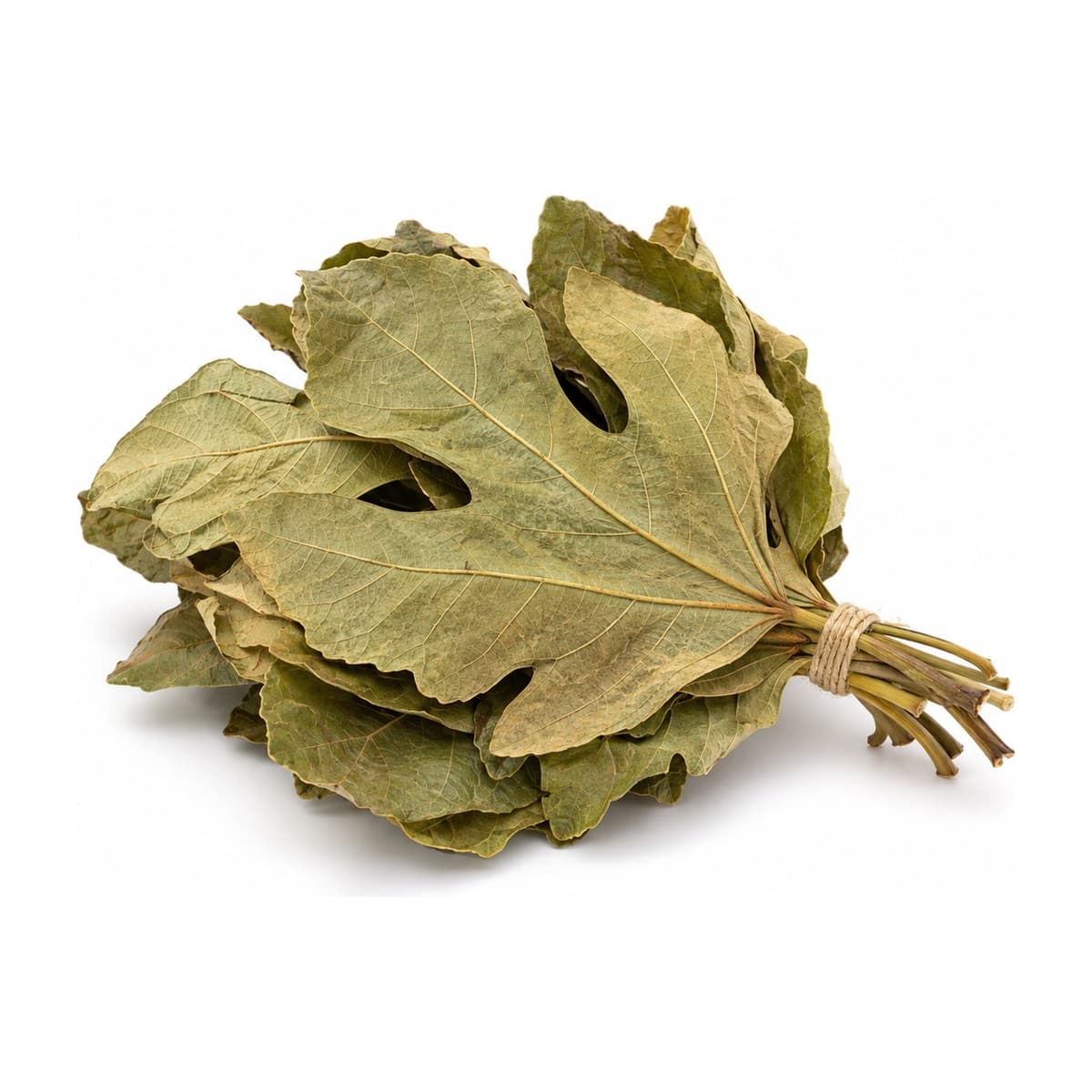 Fig (medi) leaves - dried