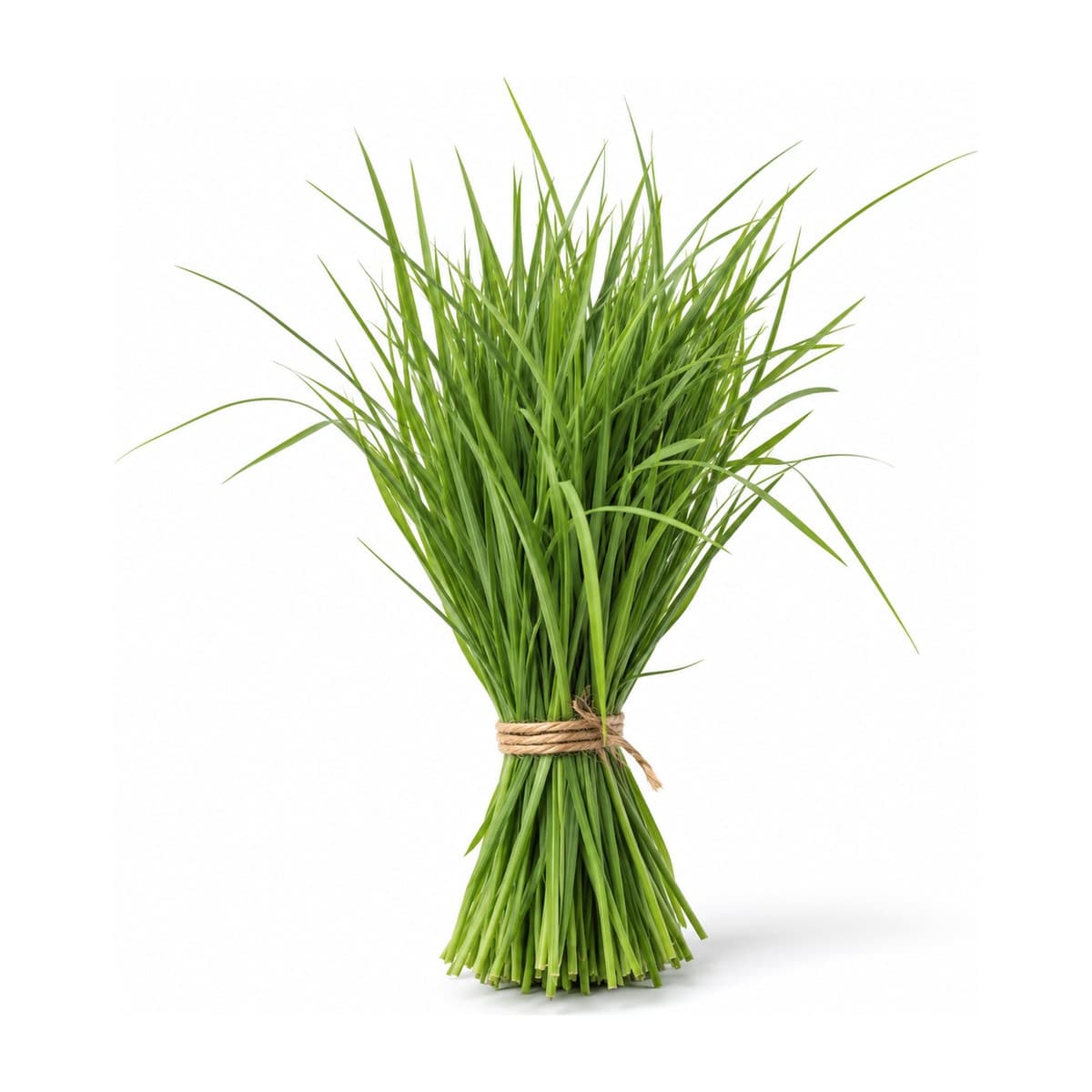 Garika grass