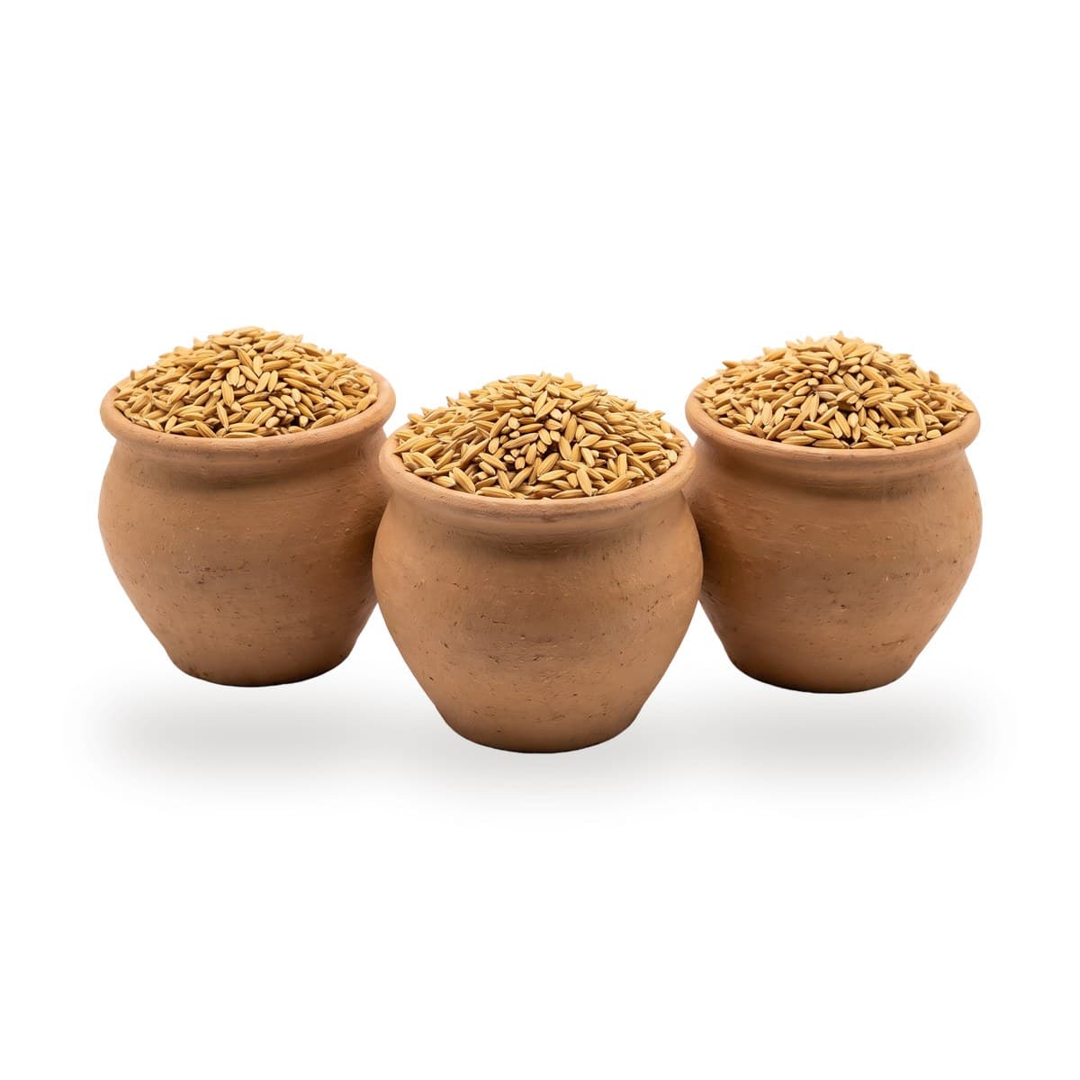Nagavalli polu pots