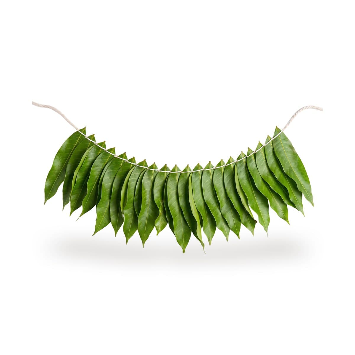 Mango leaf thoranam (fresh, strung)
