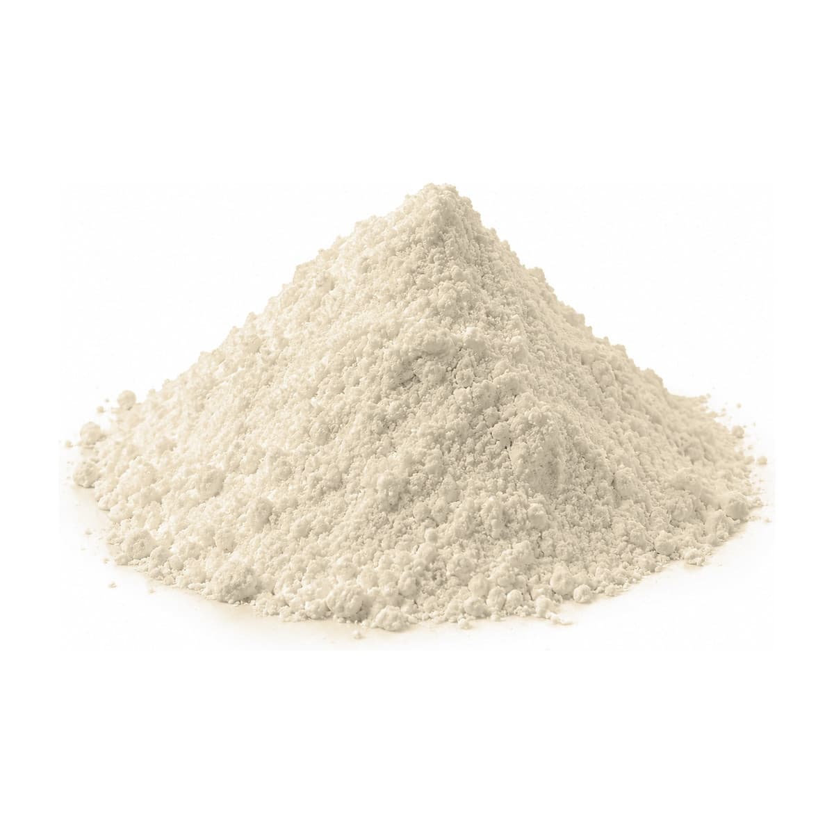 Sattu flour