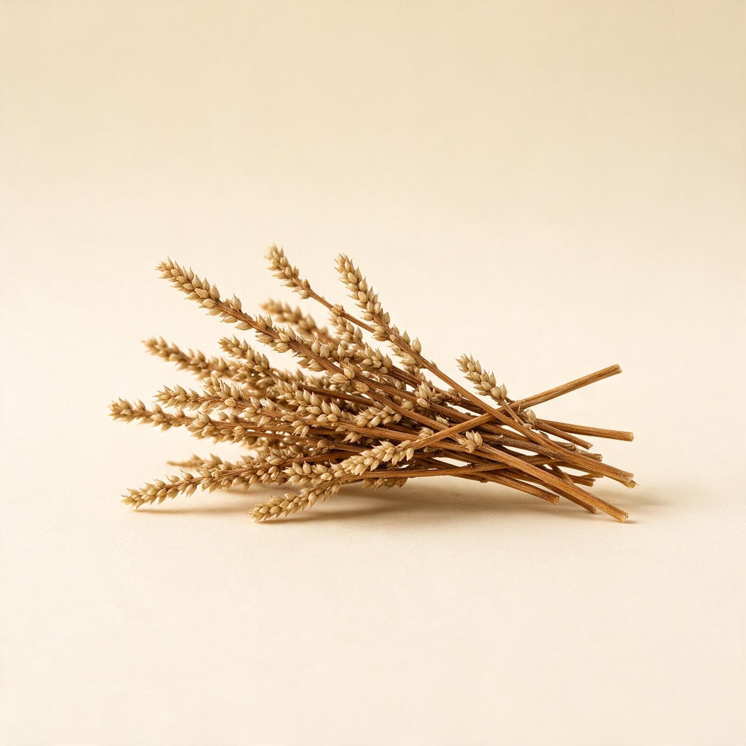 Uttareni sticks